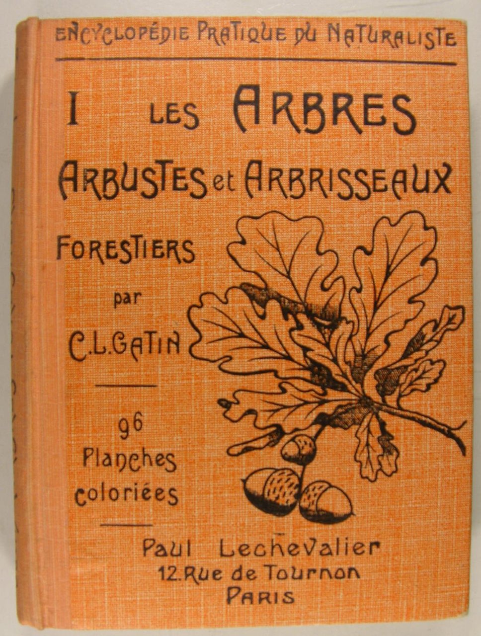 Les arbres, arbustes et arbrisseaux Forestiers. I