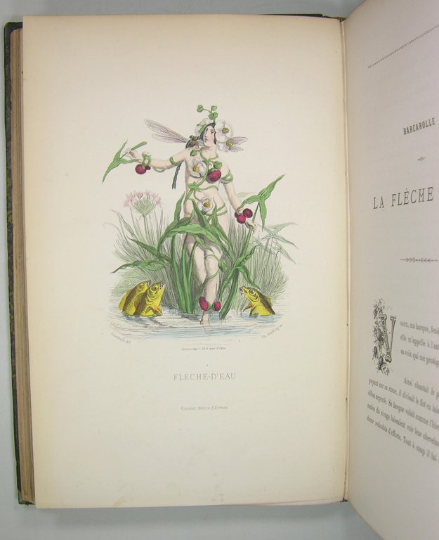 Les fleurs animées. | Immagine Gallery 7