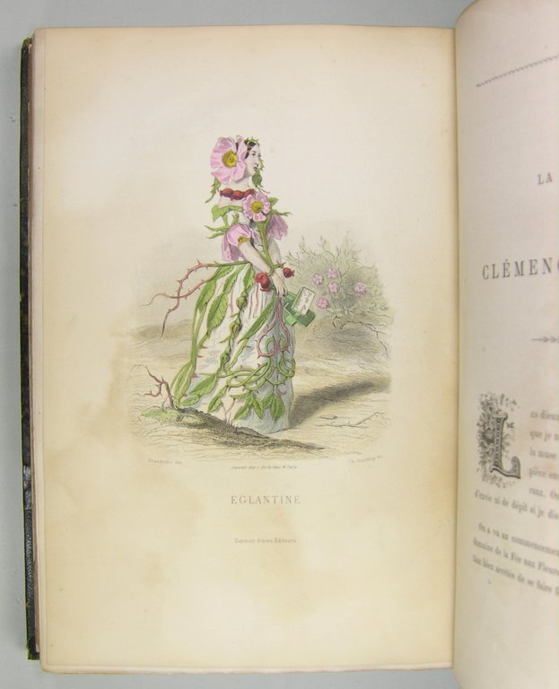 Les fleurs animées. | Immagine Gallery 9