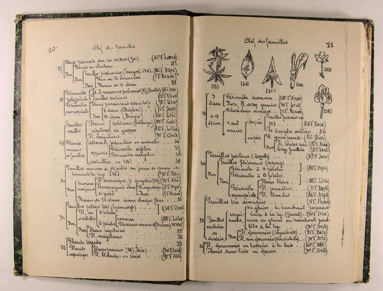 Petites clefs synoptiques pour l'analyse des plantes spontanées et principales …