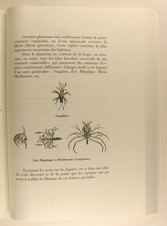 Poissons et fruits de mer de notre pays. Pêche - …