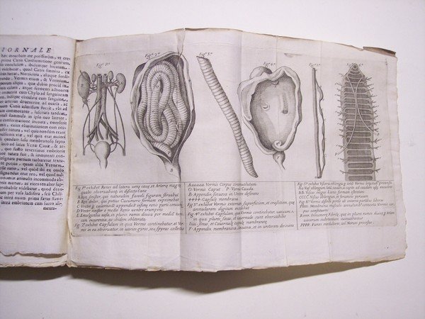 Giornale de Letterati del M.DC.XCII (1692) e primo di Modona.