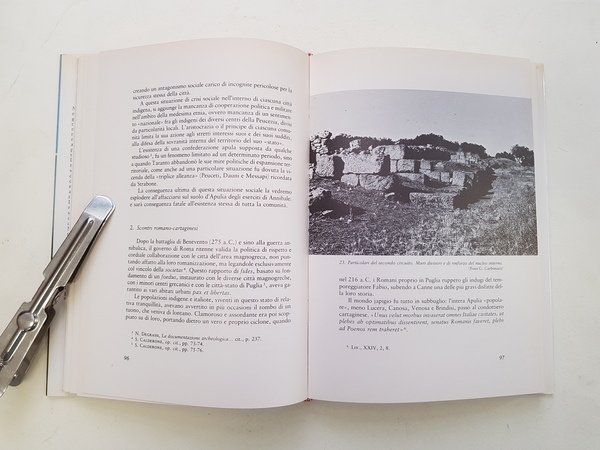 Monte Sannace. Archeologia e storia di un abitato peuceta.