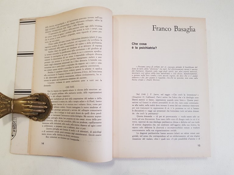 Che cos'è la psichiatria? Discussioni e saggi sulla realtà istituzionale.