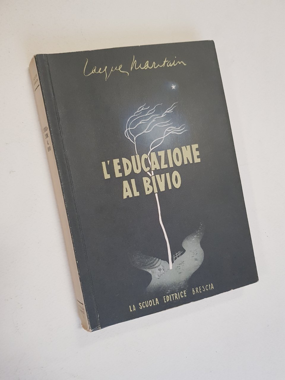 L'educazione al bivio.