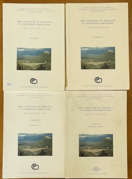 XXIV convegno di Idraulica e costruzioni Idrauliche - Napoli 20-22 …