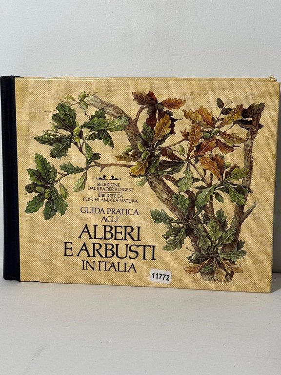 Alberi e Arbusti in italia