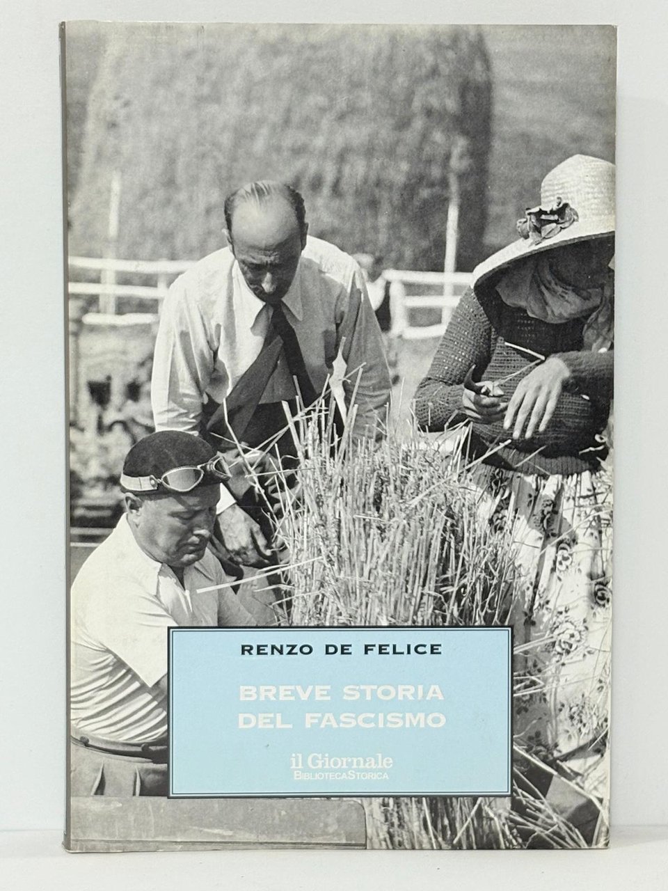 Breve storia del fascismo. Con i due saggi "il problema …