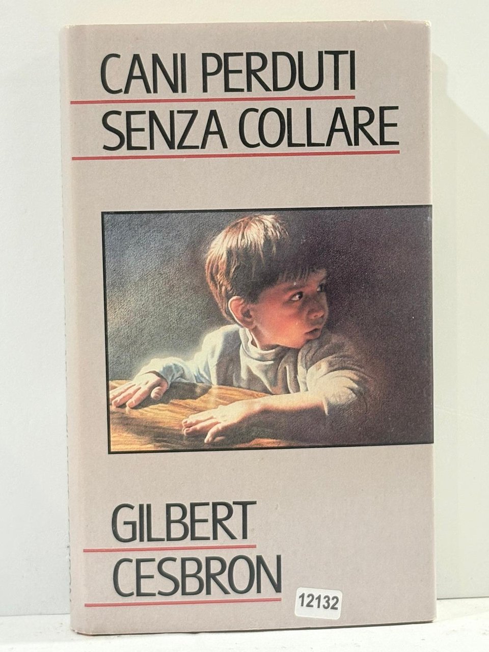 CANI PERDUTI SENZA COLLARE