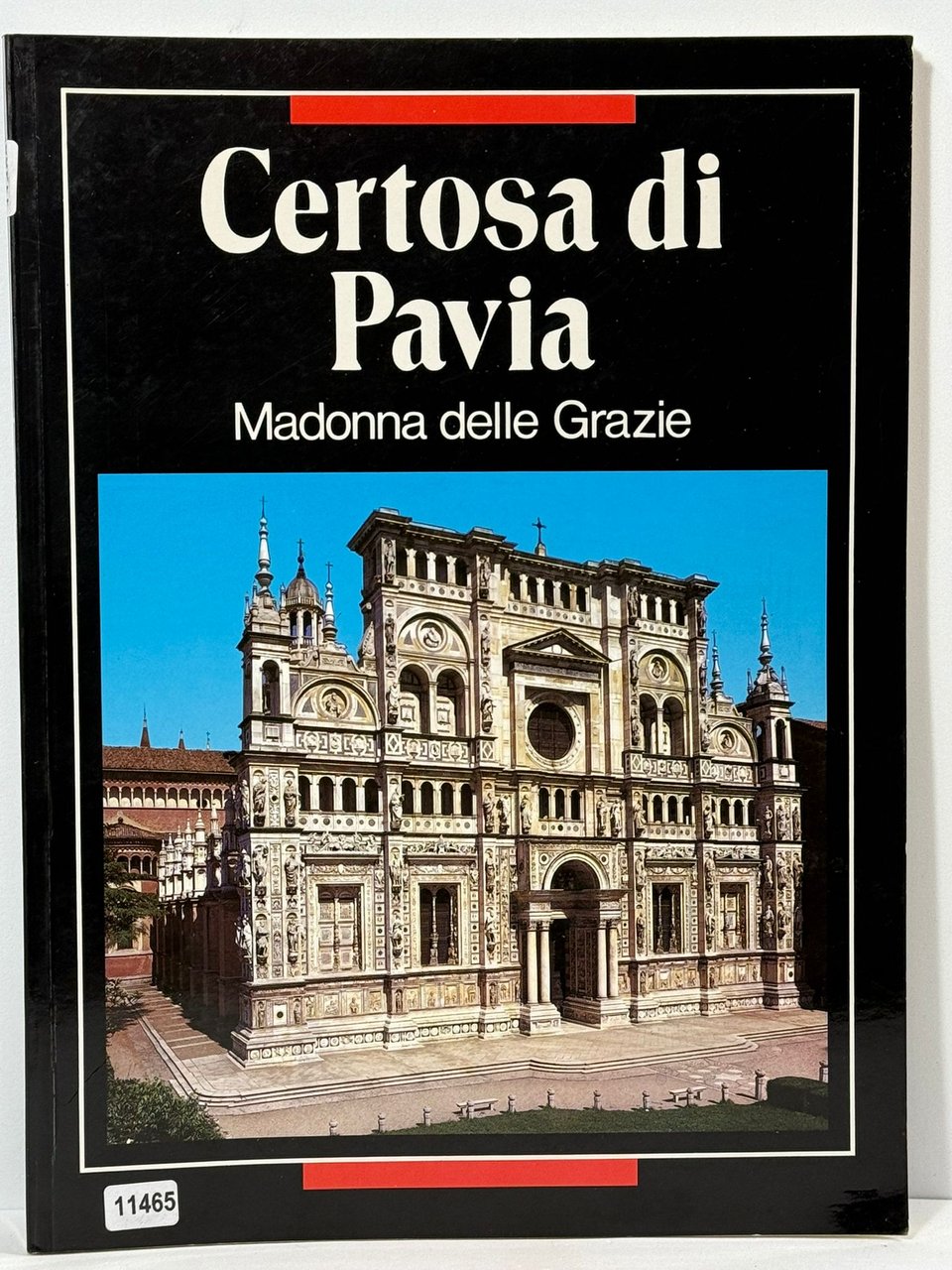 Certosa di Pavia - Madonna delle Grazie