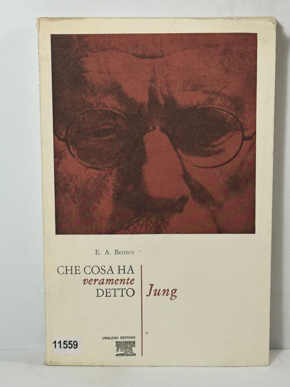 Che cosa ha veramente detto Jung | Immagine principale