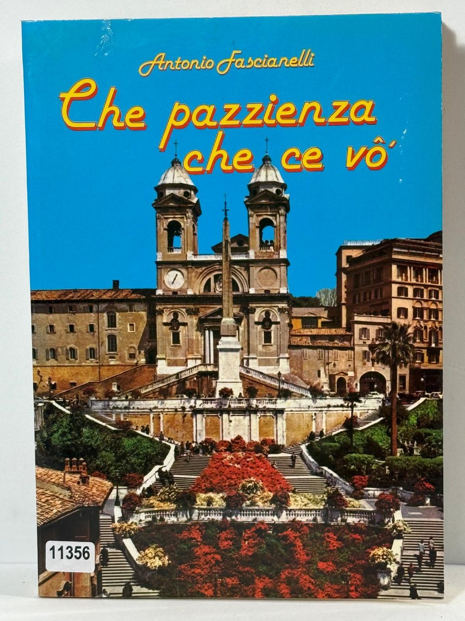 Che pazzienza che ce vo'