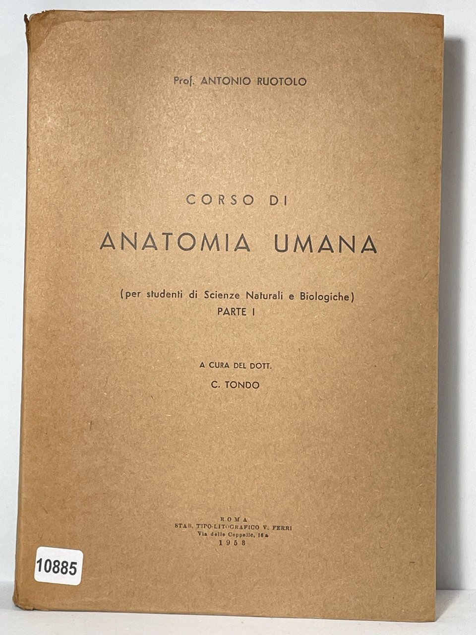Corso di Anatomi Umana (per studenti di scienza naturali e …