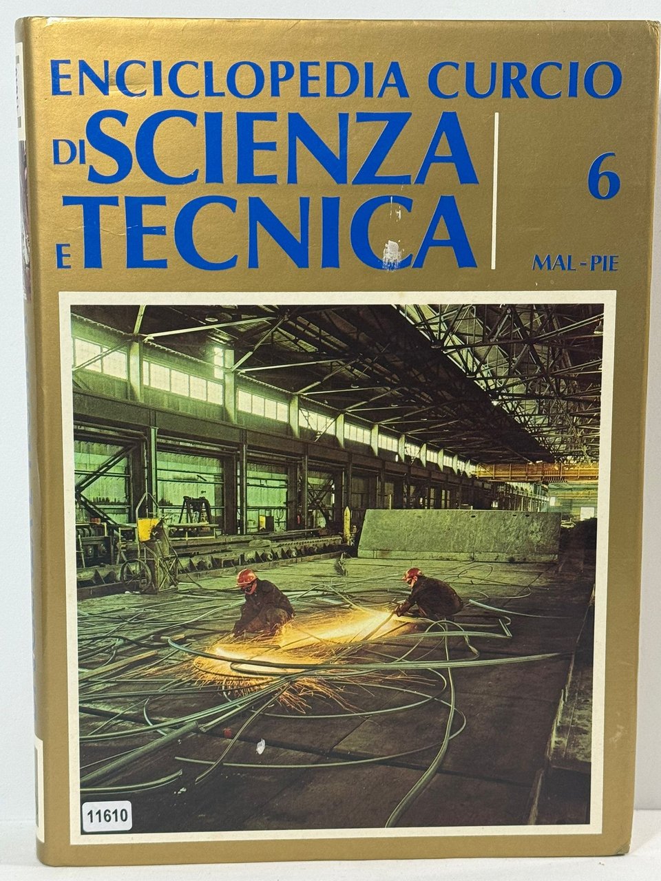 Enciclopedia curcio di Scienza e Tecnica 6 Mal- Pie