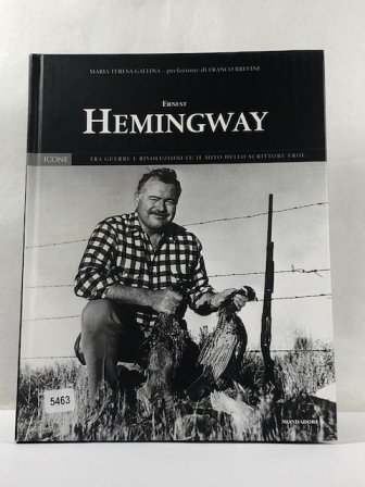 Ernest Hemingway Icon 15