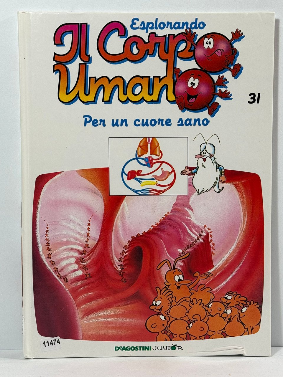 Esplorando IL corpo Umano - Dieta e Salute 31