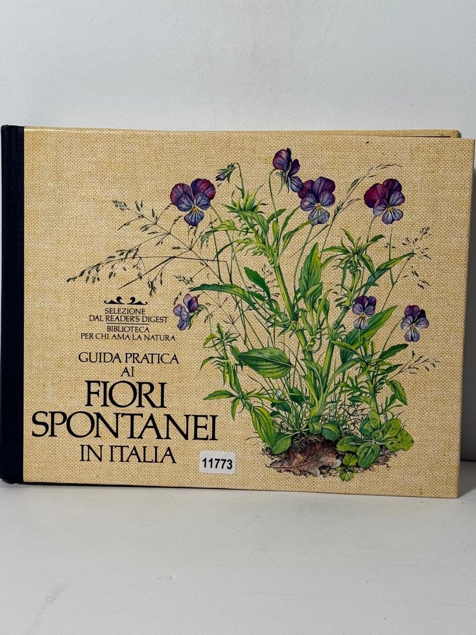 Fiori Spontanei in Italia