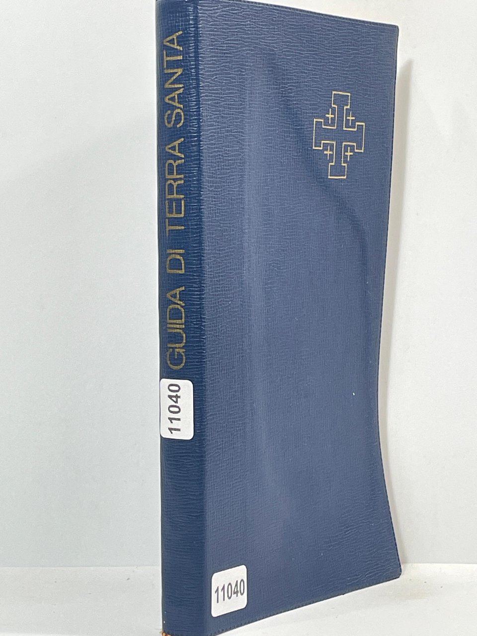 Giuda di terra sante