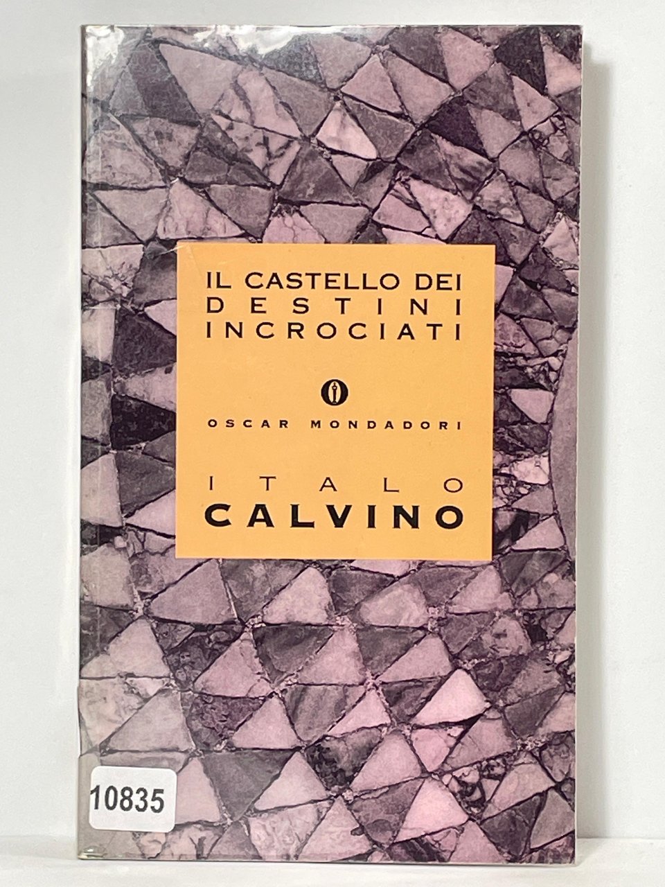 Il Castello dei Destini incrociati