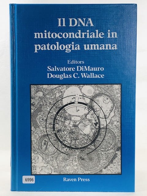 Il DNA mitocondriale in patologia umana