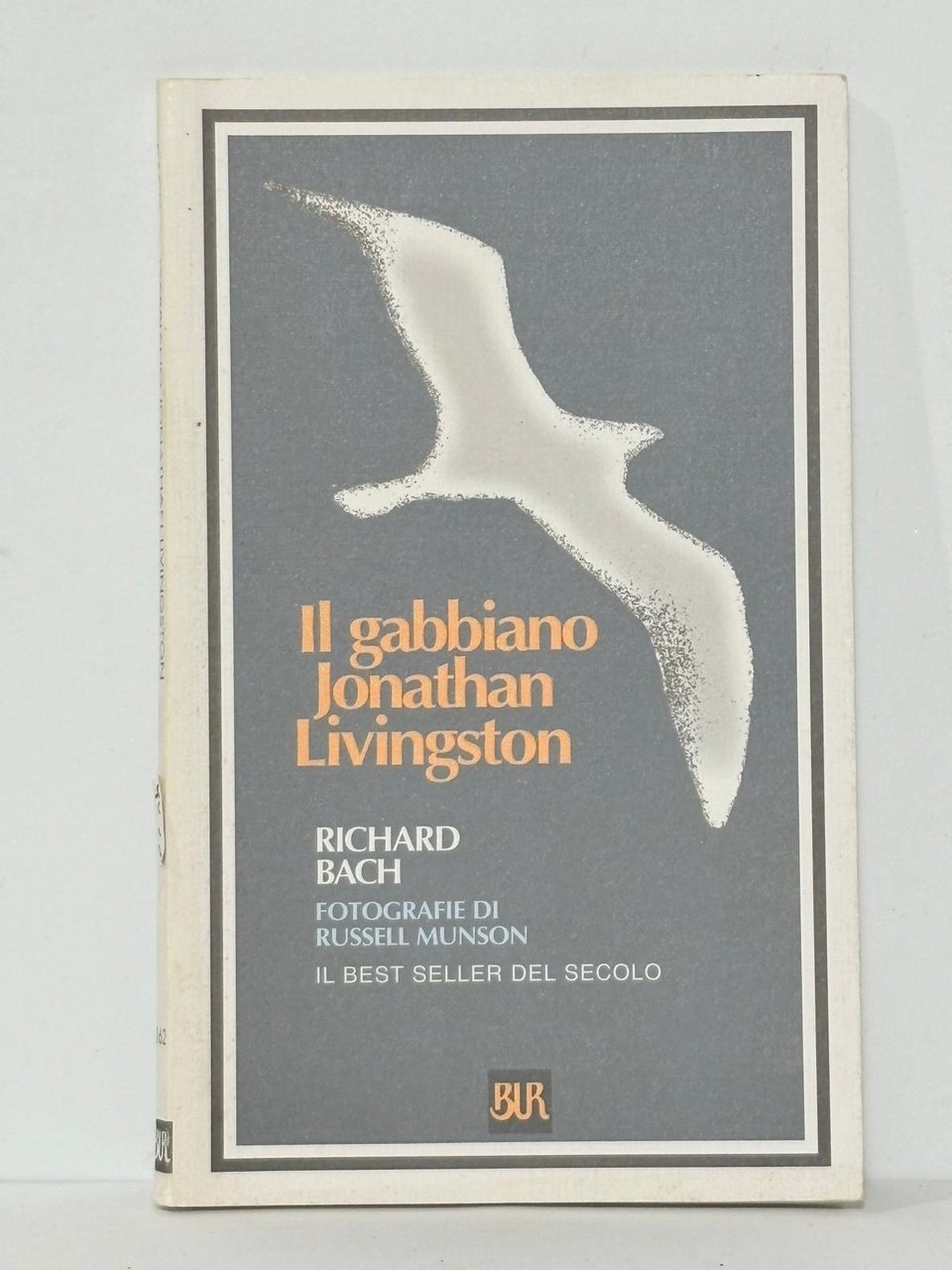 Il gabbiano Jonathan Livingston