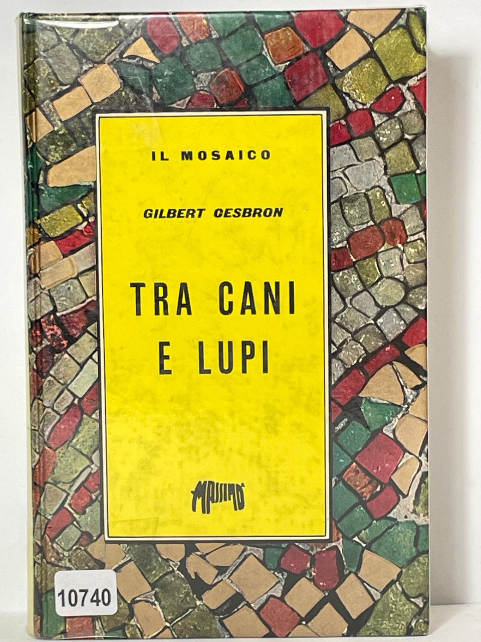 IL mosaico - Tra cani e Luppi
