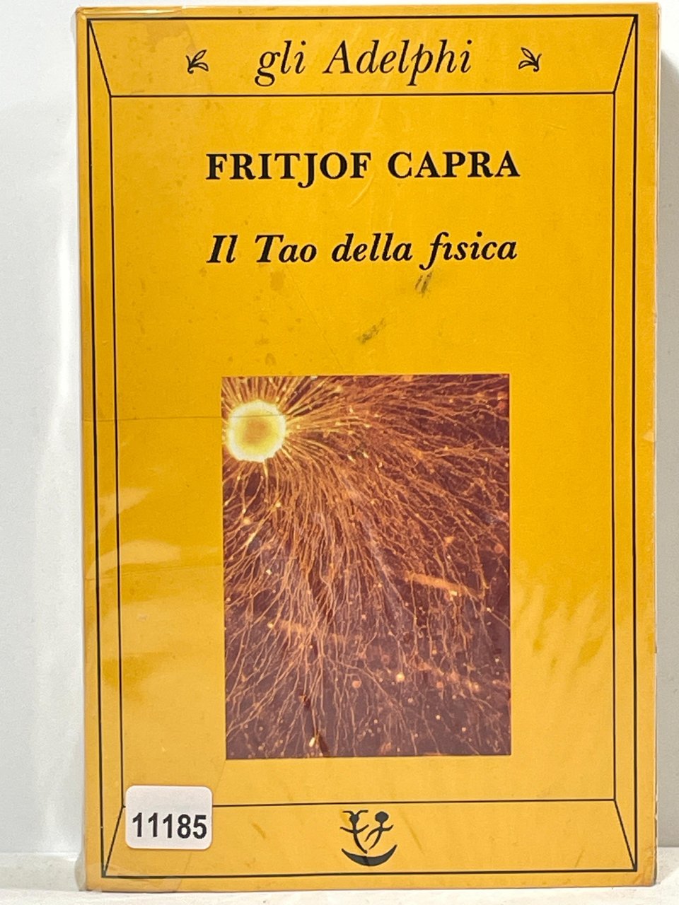 Il Tao della Fisica