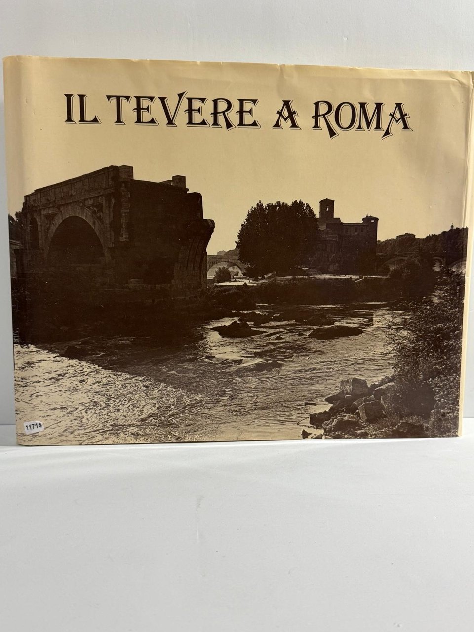 IL Tevere a Roma