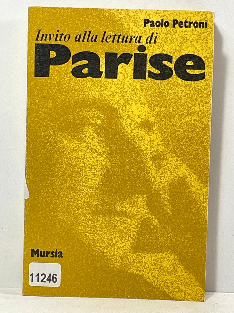 Invito alla lettura di Parise