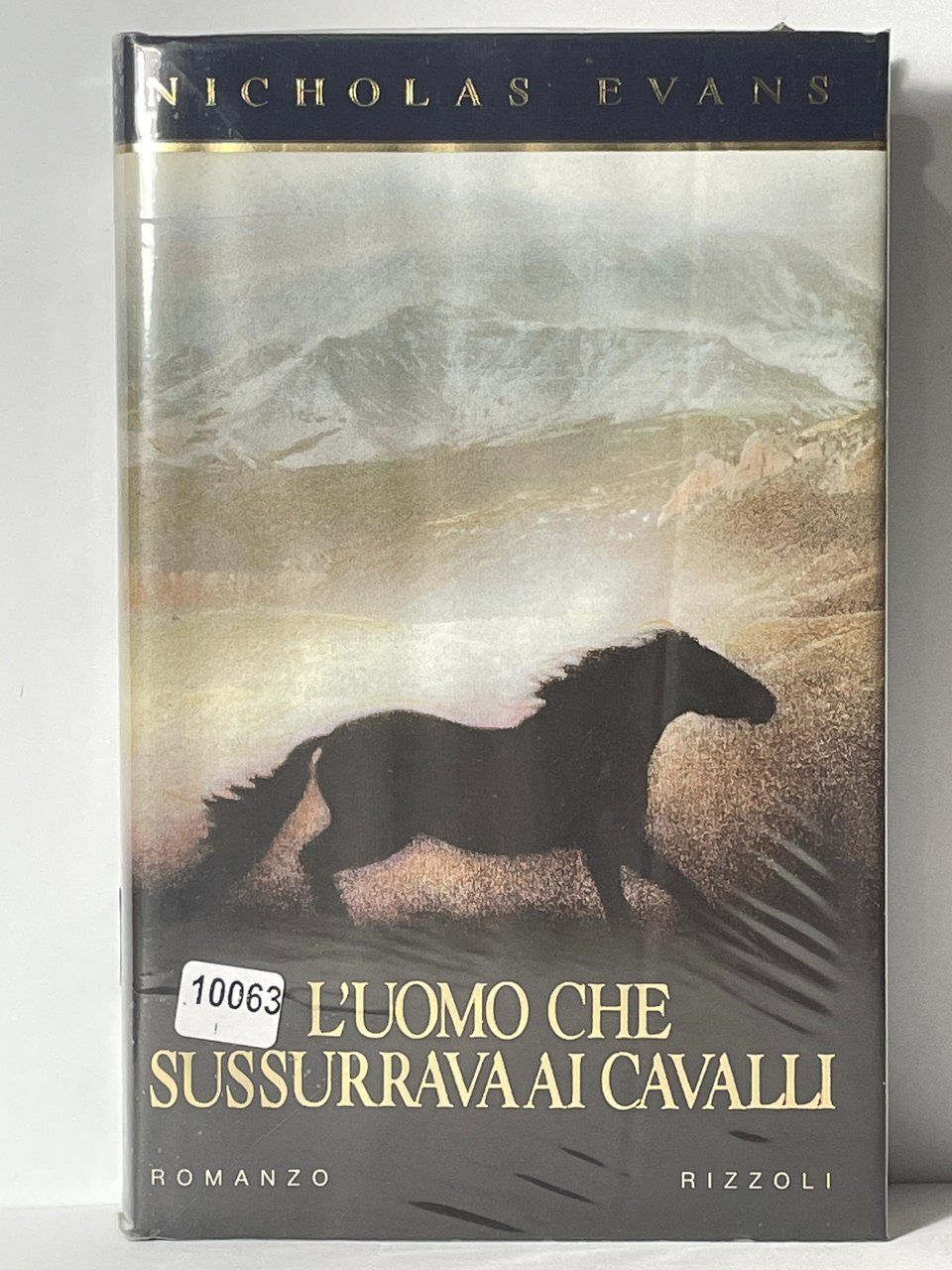 L'uomo che sussurrava ai cavalli