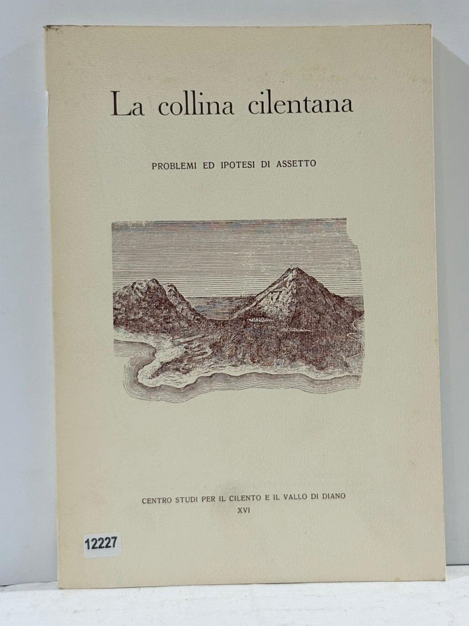 La collina cilentana ( problemi ed Ipotesi di Assetto