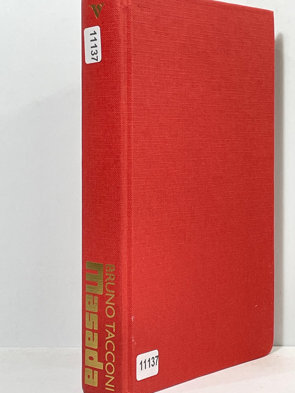 La Palestina al tempi della guerra giudaica - Masada