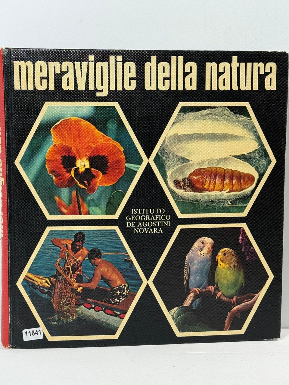 Meraviglie della Natura - Enciclopedia Italiana delle Sceinze