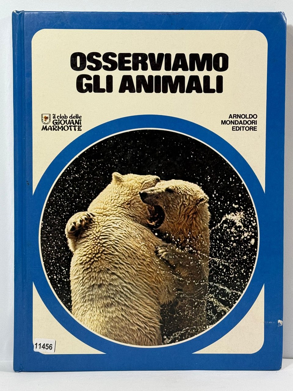 Osserviamo gli Animali