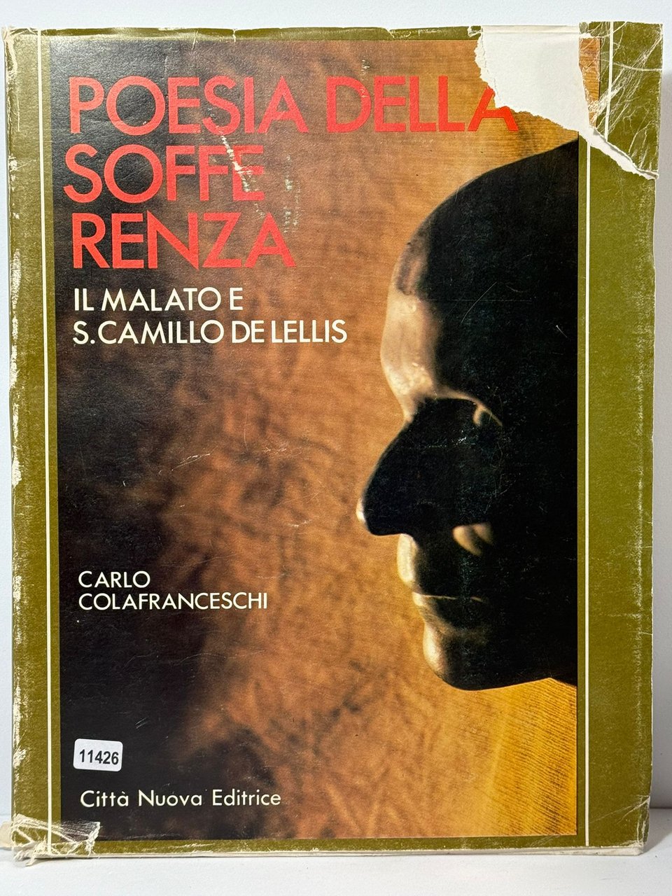 Poesia della soffe Renza - Il Malato e S. Camillo …