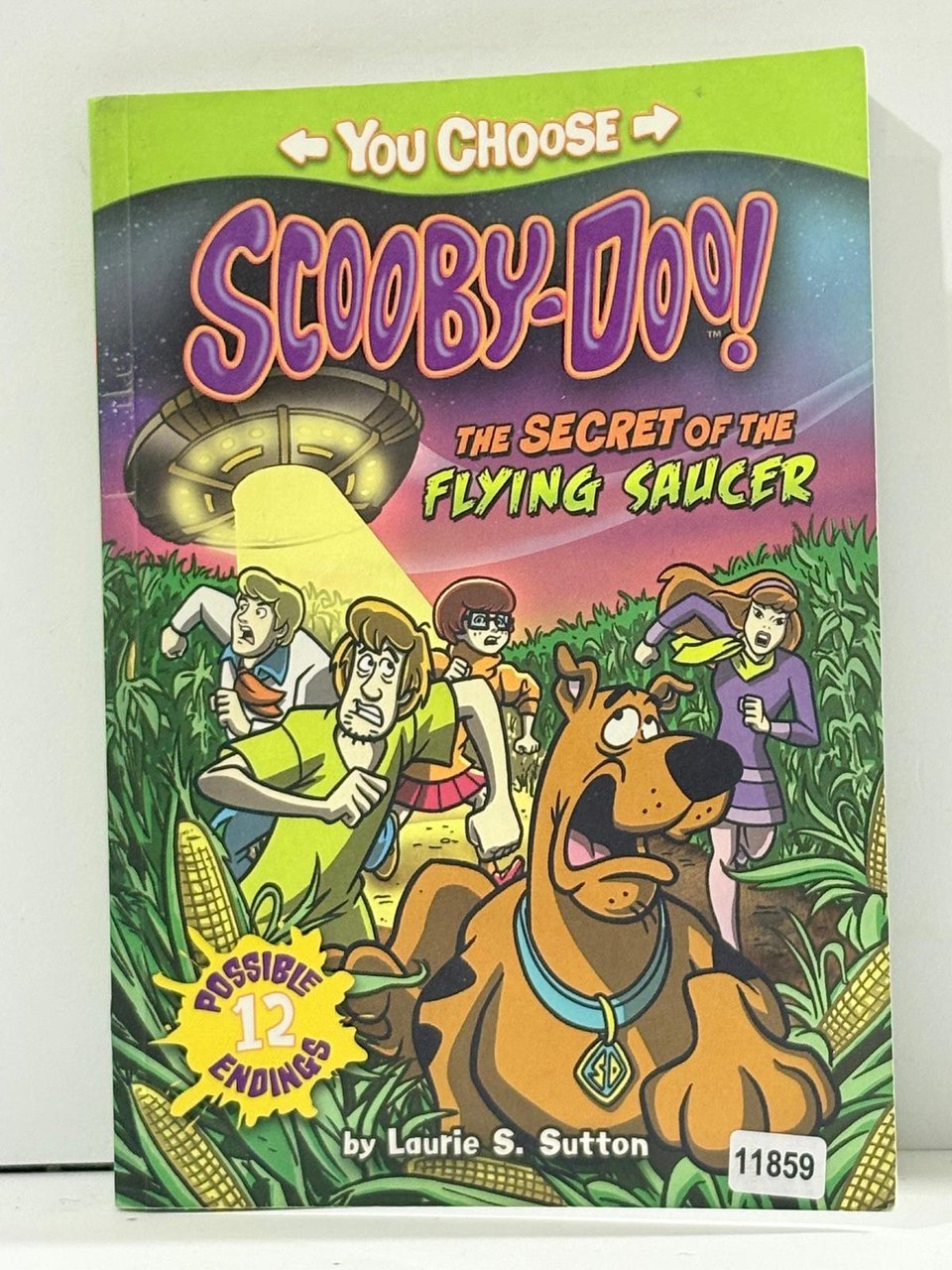 The Secret of the Flying Saucer