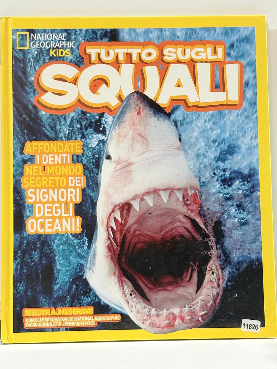 Tutto sugli squali. Ediz. a colori