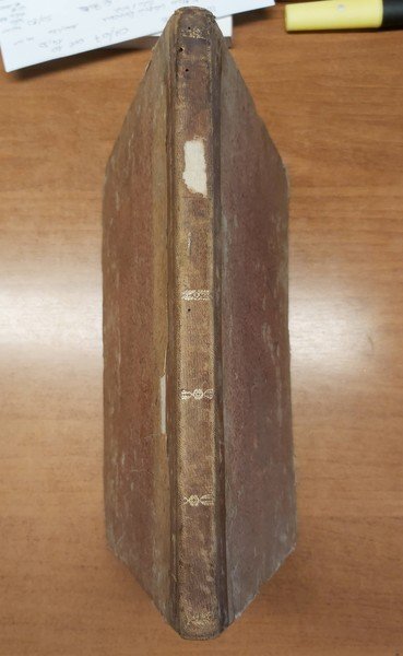 VITA DI S. PACIFICO di San-Severino.