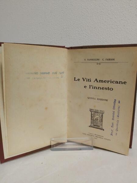 LE VITI AMERICANE e l’innesto. | Immagine Gallery 4