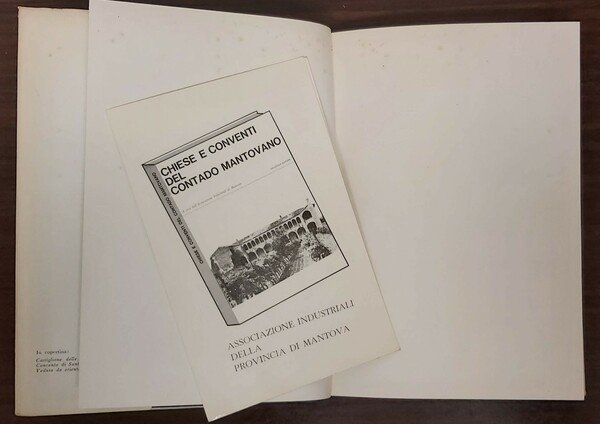 CHIESE E CONVENTI del Contado Mantovano.