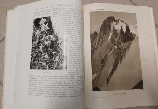 IL MONTE BIANCO (ai piedi del gigante) con una carta …