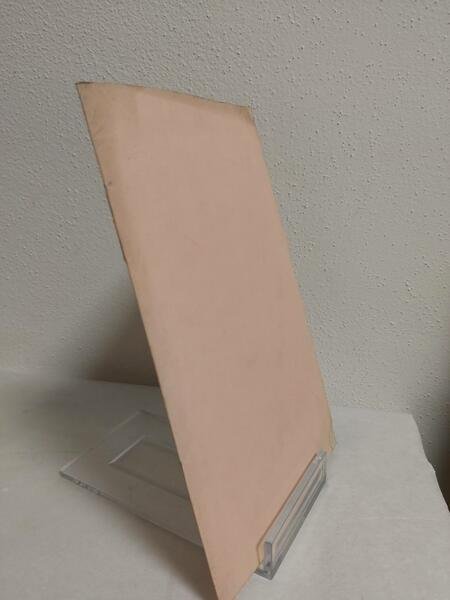 NELLE COSPICUE NOZZE DEL CONTE CARLO DOLFIN COLLA CONTESSA CATERINA …