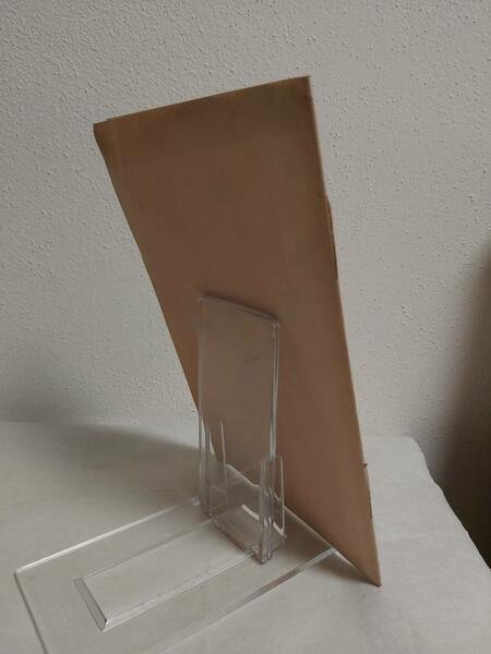 NELLE COSPICUE NOZZE DEL CONTE CARLO DOLFIN COLLA CONTESSA CATERINA …