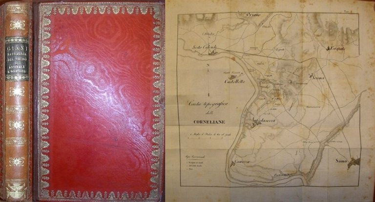 BATTAGLIA DEL TICINO tra Annibale e Scipione ossia Scoperta del …
