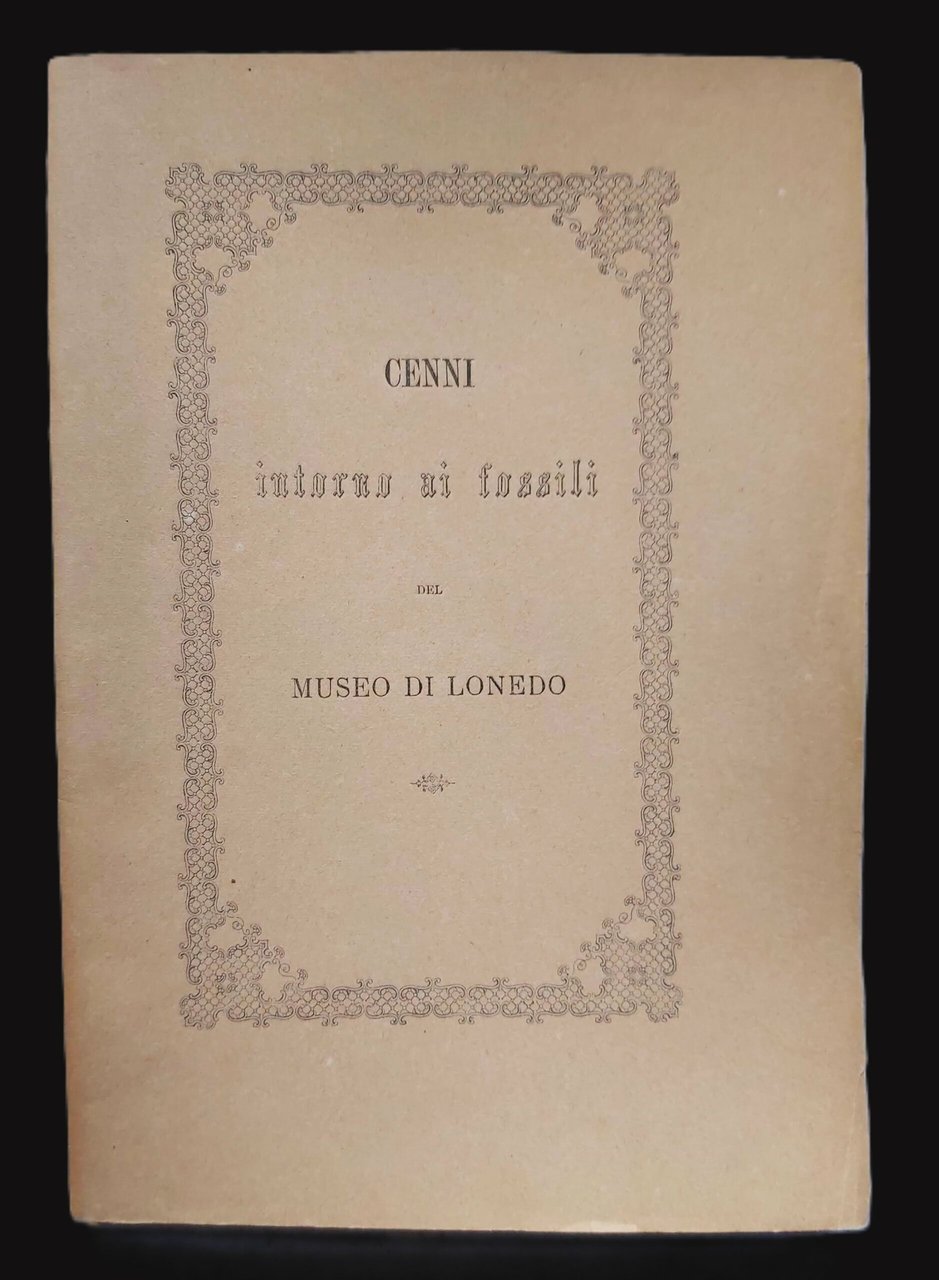 CENNI INTORNO AI FOSSILI del museo di Lonedo.
