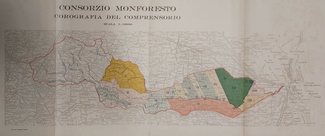CONSORZIO DI BONIFICA. Fossa Monselesana - Foresto generale (Monforesto). Opere …