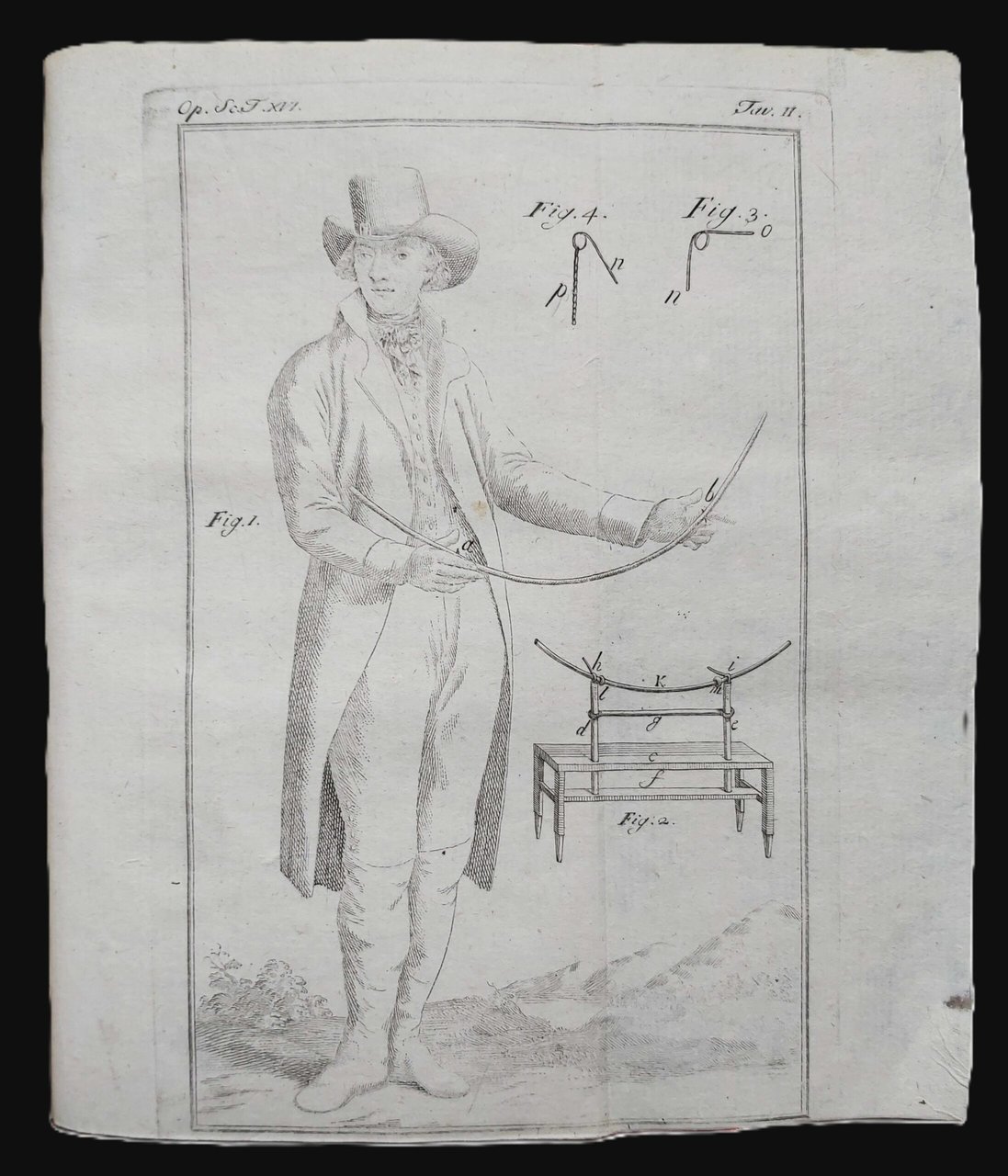 ELEMENTI DI ELETTROMETRIA ANIMALE del Cavaliere.