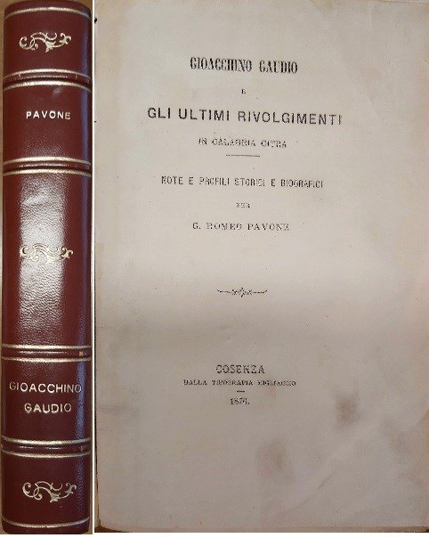 GIOACCHINO GAUDIO E GLI ULTIMI RIVOLGIMENTI IN CALABRIA CITRA. Note …