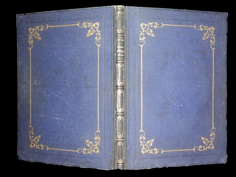 GUERRE D' ITALIE. MDCCCLIX. France et Sardaigne.