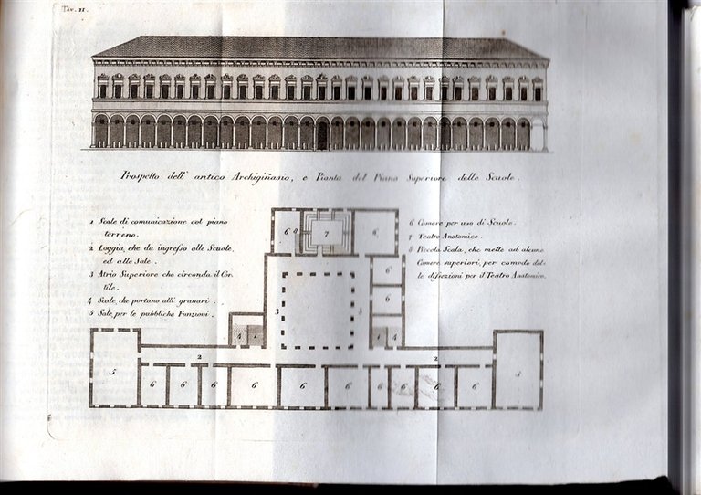 GUIDA DEL FORESTIERE per la città di Bologna e suoi …